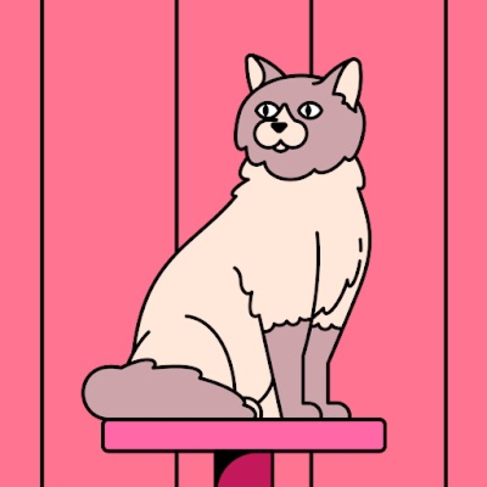 Meet your Posher, Peppa